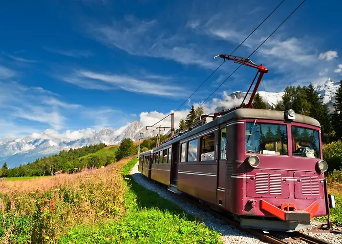 Sud - Grepon Paradis 611 - Happy